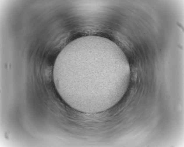 X0000093250034200710241322