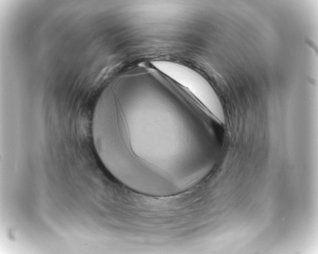 X0000093250035200710241322