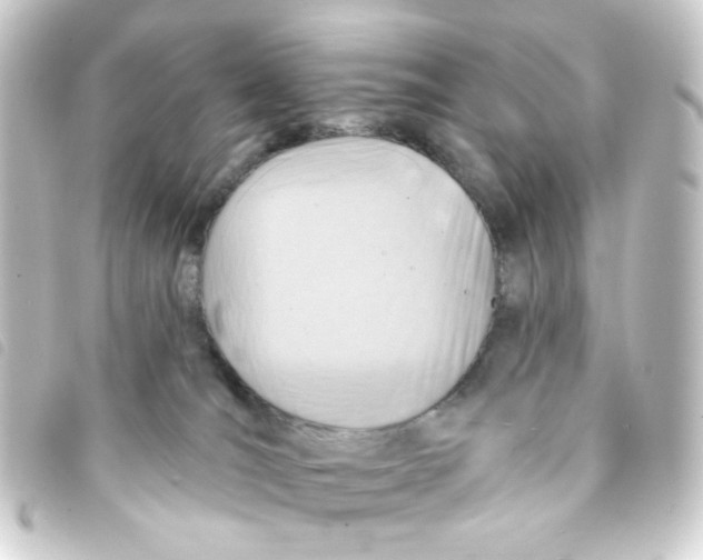 X0000093250036200710241322