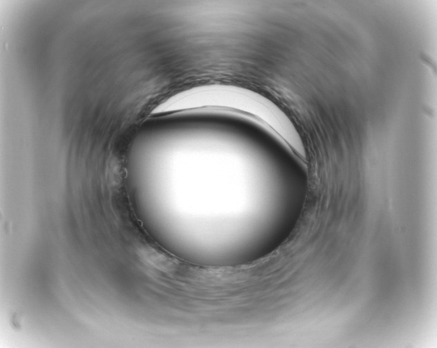 X0000093250037200710241322