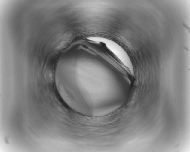 X0000093250039200710241322