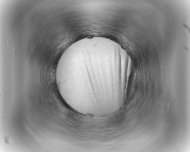 X0000093250043200710241322