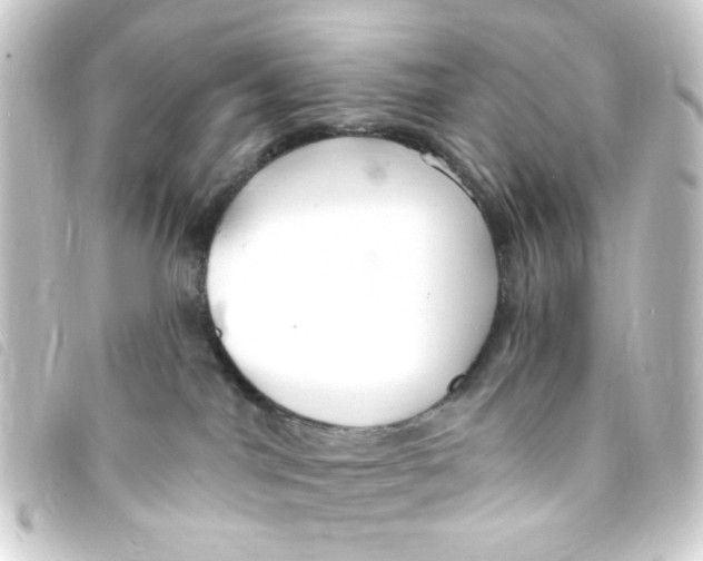 X0000093250044200710241322