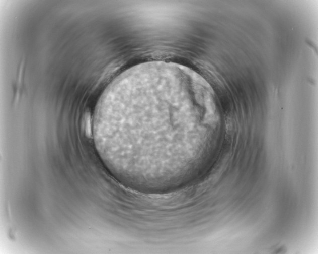 X0000093250046200710241322