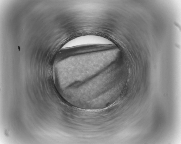 X0000093250048200710241322