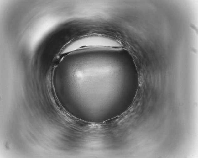 X0000093250052200710241322