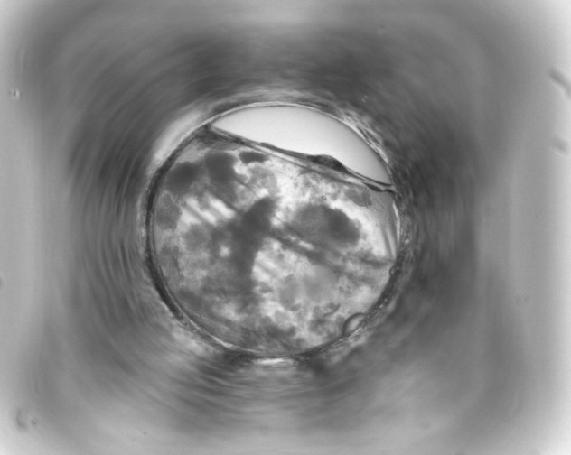X0000093250053200710241322