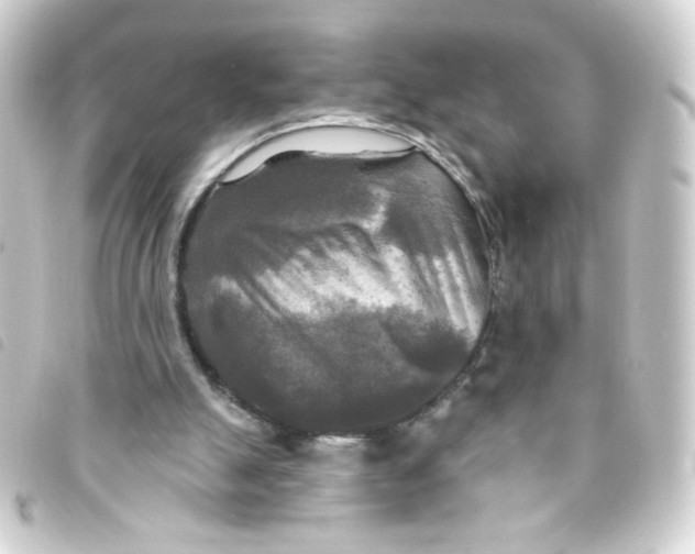 X0000093250055200710241322