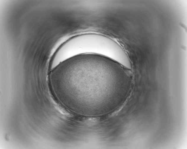 X0000093250056200710241322