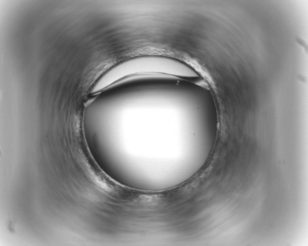 X0000093250057200710241322