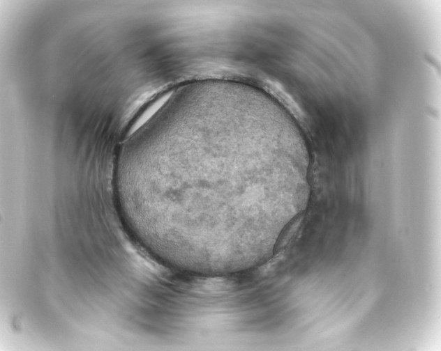 X0000093250058200710241322