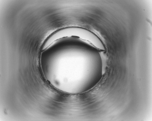 X0000093250060200710241322