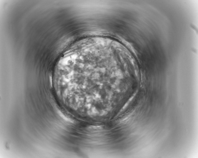 X0000093250061200710241322