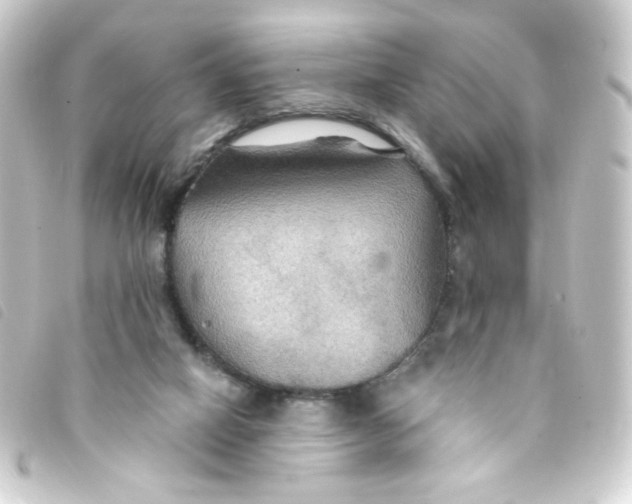 X0000093250066200710241322