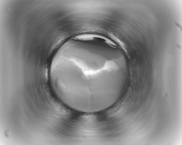 X0000093250067200710241322
