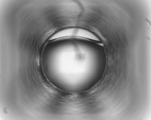 X0000093250068200710241322