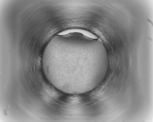 X0000093250071200710241322