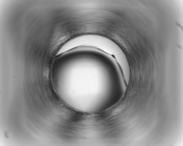 X0000093250072200710241322