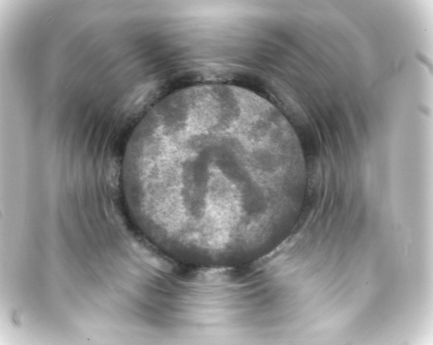 X0000093250078200710241322
