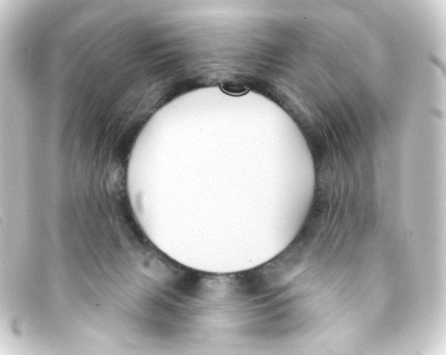 X0000093250079200710241322