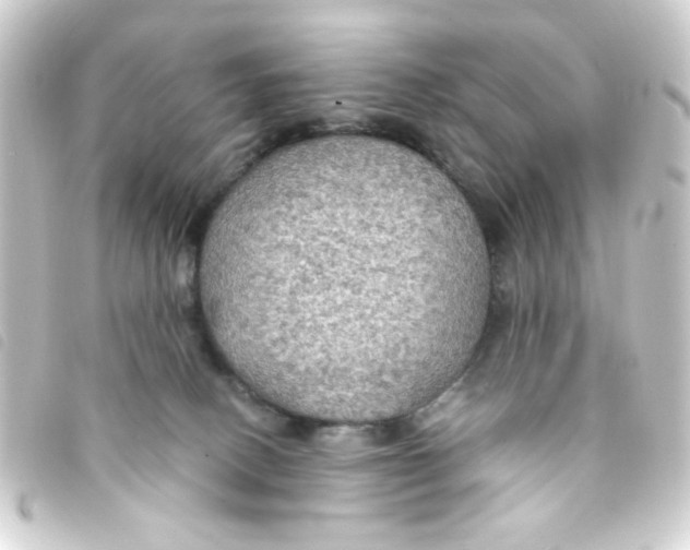 X0000093250082200710241322