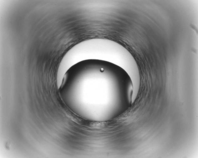 X0000093250084200710241322