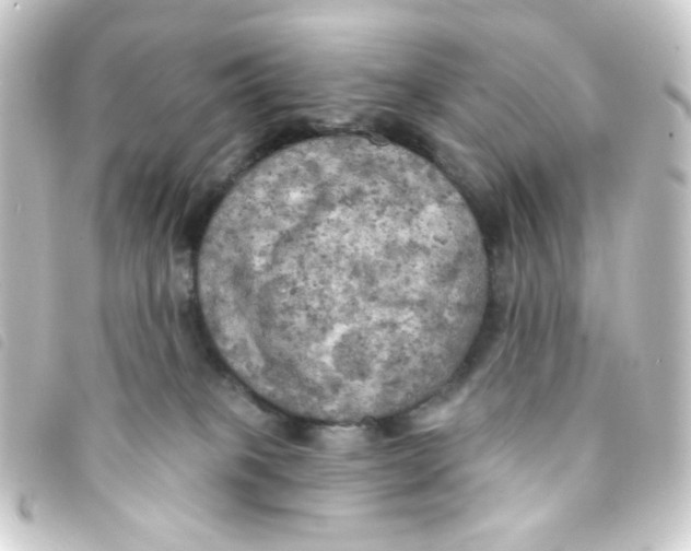 X0000093250085200710241322