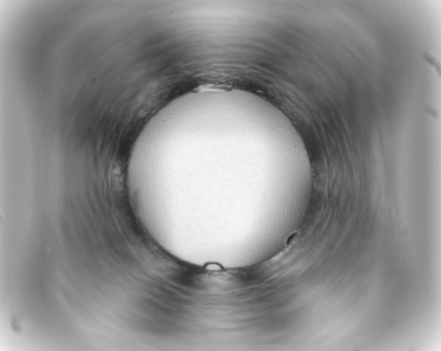 X0000093250086200710241322