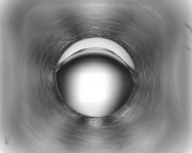 X0000093250088200710241322