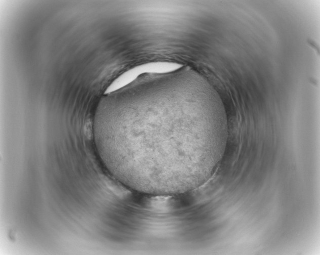 X0000093250090200710241322