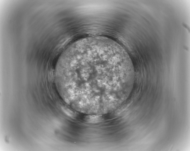 X0000093250093200710241322
