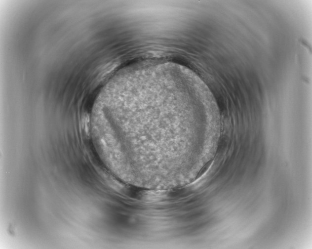 X0000093250094200710241322
