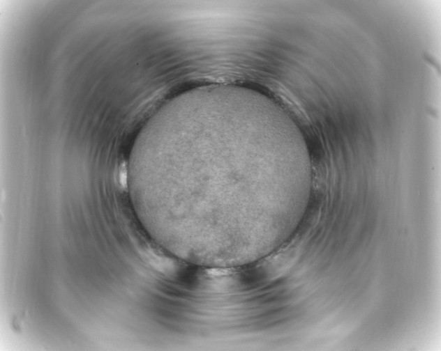 X0000093250095200710241322