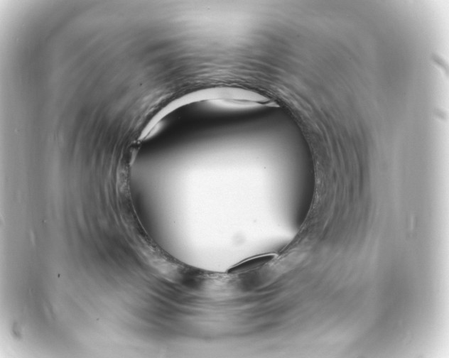 X0000093250096200710241322