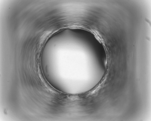 X0000093250097200710241322