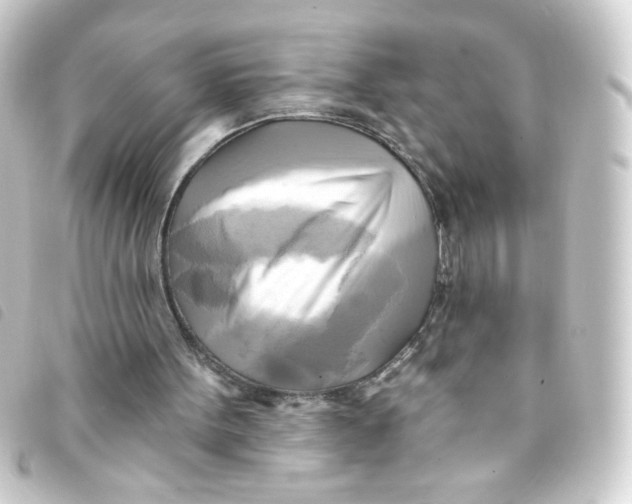 X0000093250099200710241322