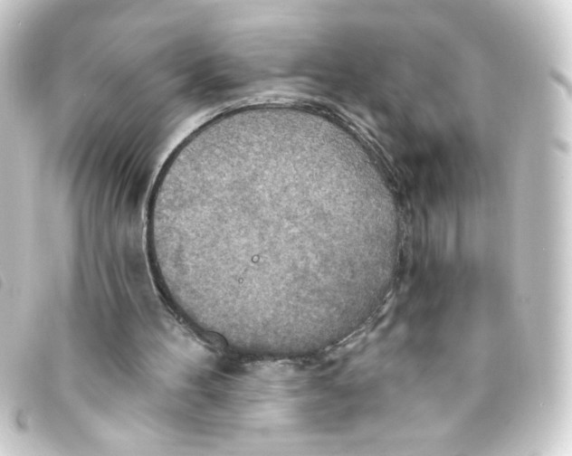 X0000093250100200710241322