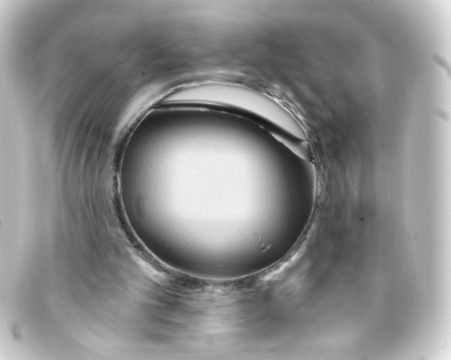 X0000093250101200710241322