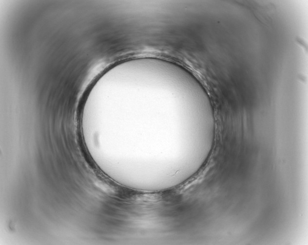 X0000093250102200710241322