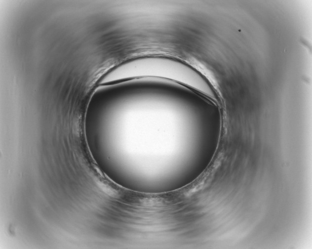 X0000093250105200710241322