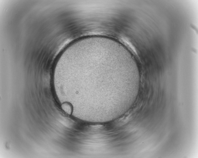 X0000093250108200710241322