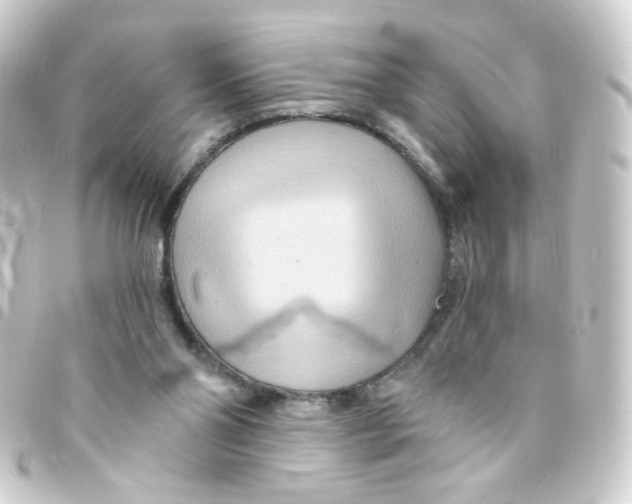 X0000093250110200710241322