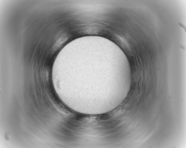 X0000093250120200710241321