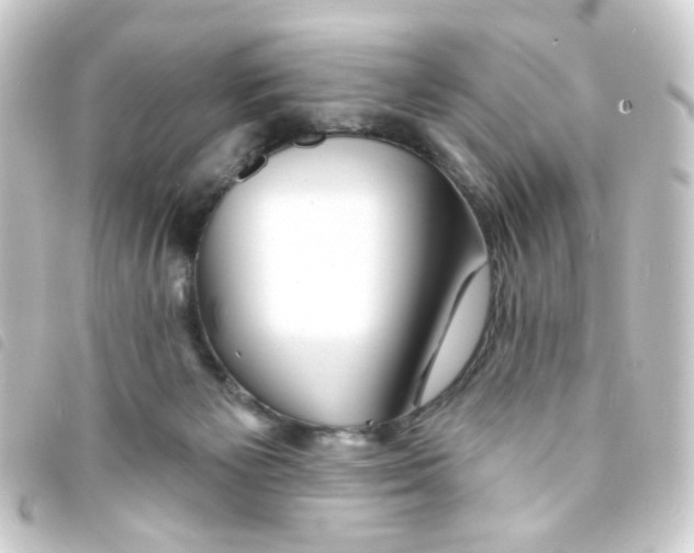 X0000093250125200710241321