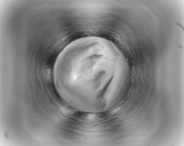 X0000093250130200710241321