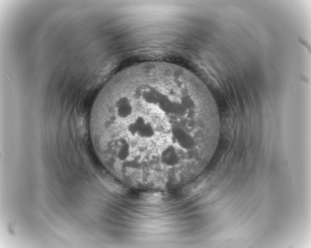 X0000093250131200710241321