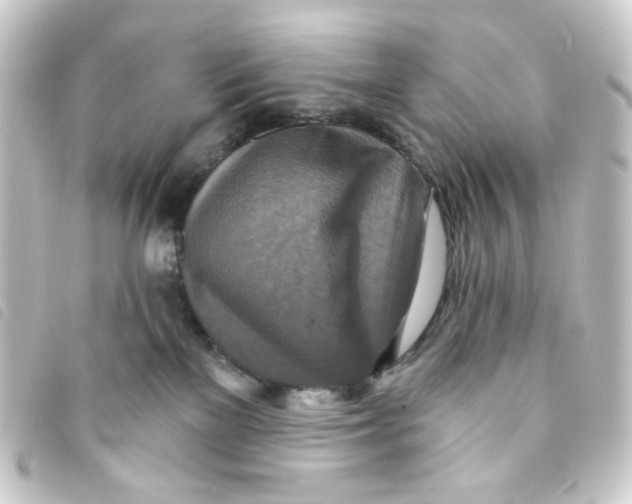 X0000093250137200710241321