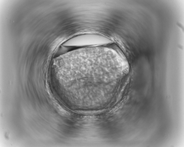 X0000093250145200710241321
