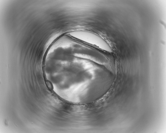 X0000093250147200710241321