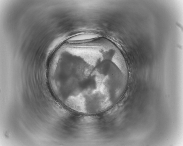 X0000093250149200710241321